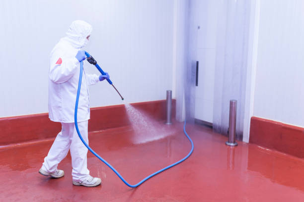 Best Graffiti Removal  in Owingsville, KY